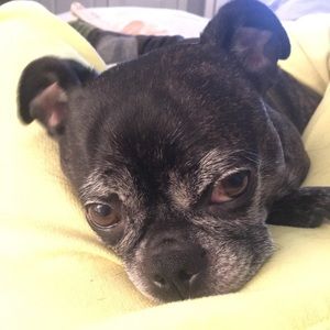 Meet your Posher, Kristen